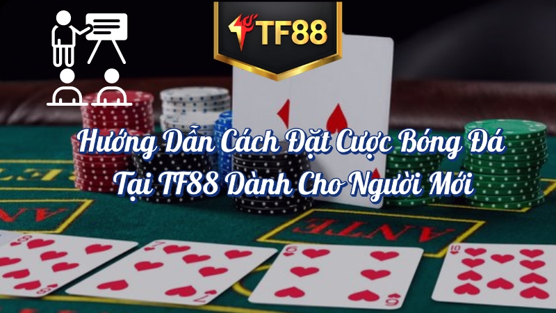 Hướng dẫn cách đặt cược bóng đá tại TF88 dành cho người mới